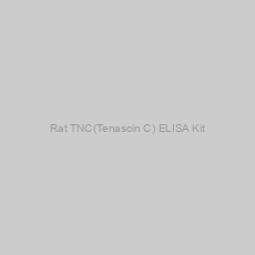 Image of Rat TNC(Tenascin C) ELISA Kit